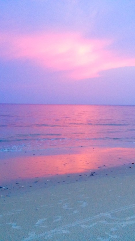 대한항공_기ㅏ기타